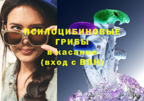 трава Беломорск